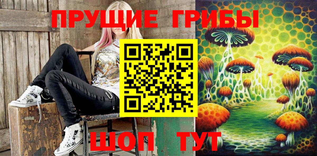 Псилоцибиновые грибы MAGIC MUSHROOMS  Вход с VPN  Галлюциногенные грибы ЛСД  Санкт-Петербург 