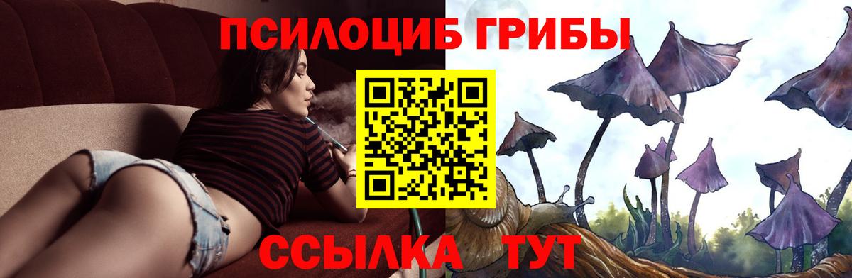 Галлюциногенные грибы мухоморы Санкт-Петербург