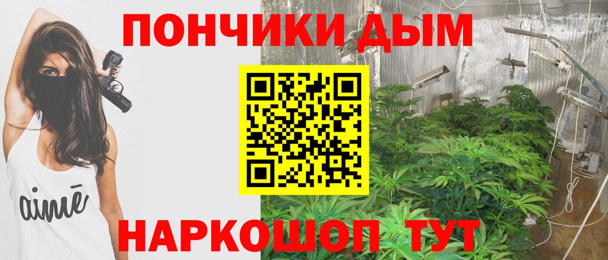 Шишки марихуана планчик Санкт-Петербург